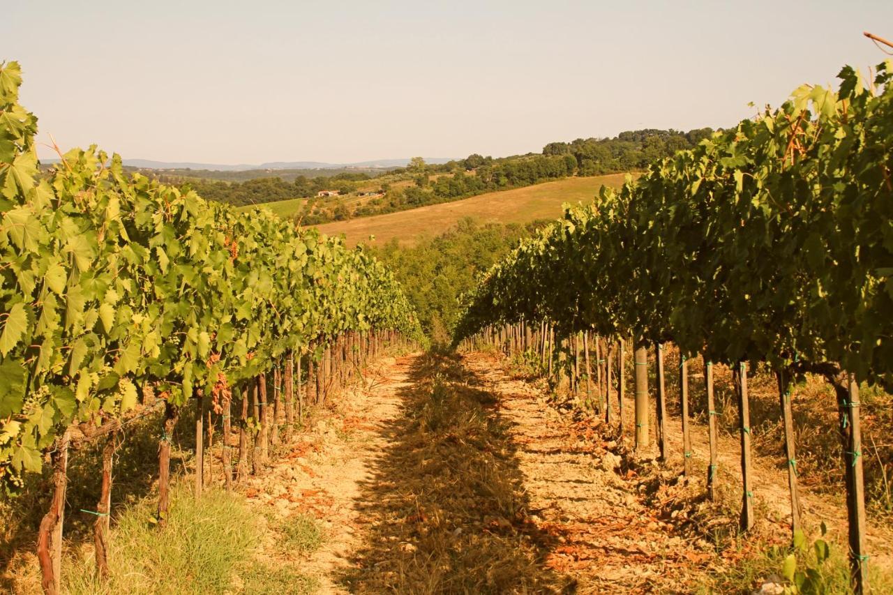 시에나 La Torre In Chianti 아파트 외부 사진
